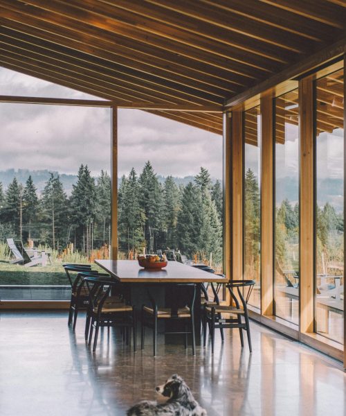 pexels-orlovamaria-4906243