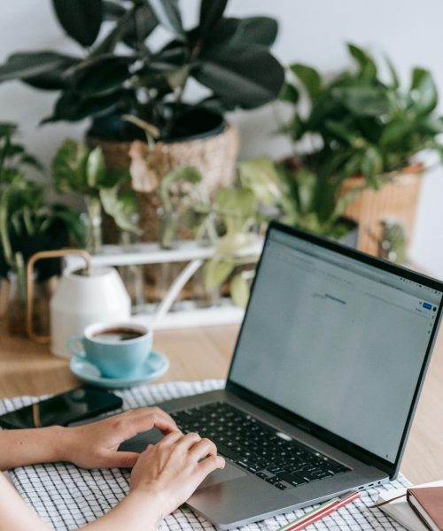 pexels-teona-swift-6912818